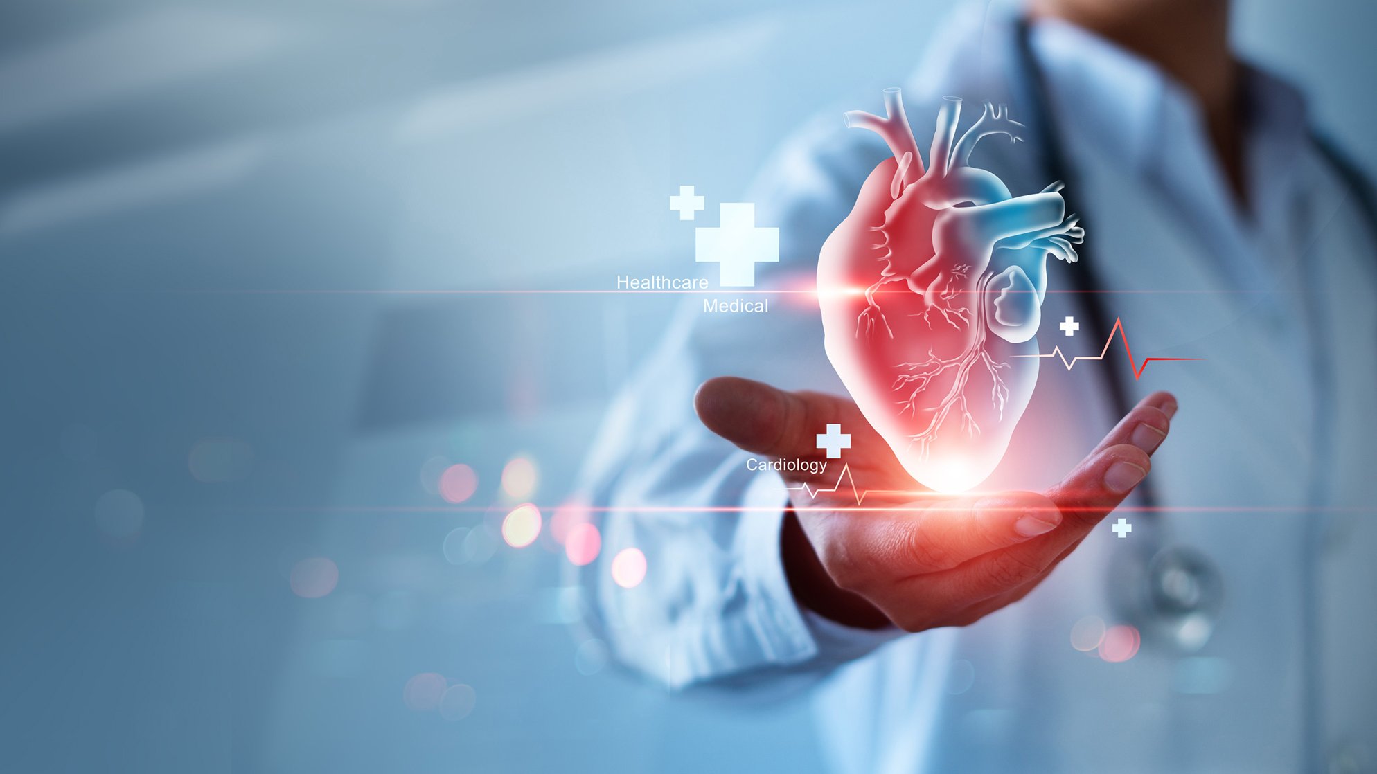 Doctor Holding a Heart in His Hand - Stock Image: Master's Program in Medical Engineering & Analytics