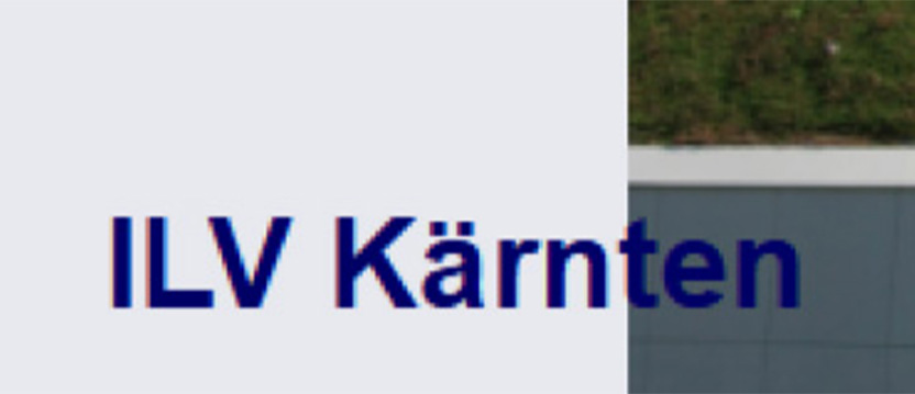 Institute for Laboratory Diagnostics, Villach