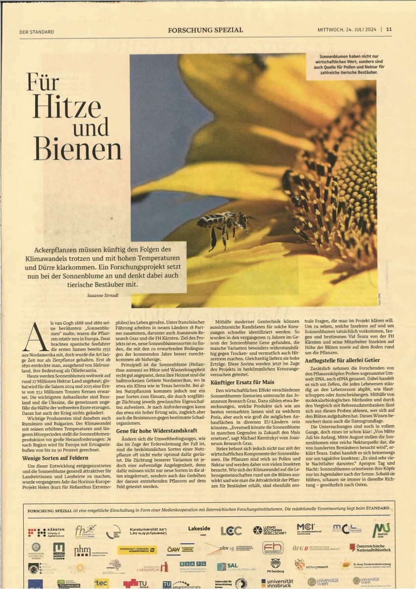 Der Standard